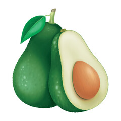 Vector illustration of isolated avocado