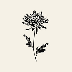 Flat vector chrysanthemum flower branch
