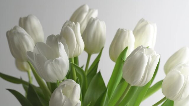  White tulips bouquet, close up.