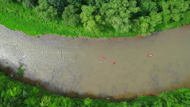 Kayakers on a rapid river in a lush green forest.