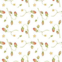 Watercolor strawberry seamless pattern. Botanical background with red berries fruits. For printing paper, wallpaper, covers, scrapbooking, textiles.