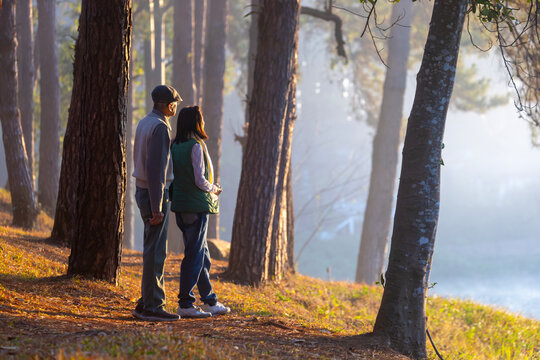 Back view of senior couple watching sunrise together in the pine forest after hiking for love, marriage and healthy long last relationship bonding and longevity concept
