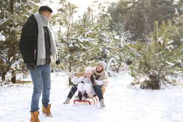Fototapeta na wymiar Father pulling sledge with his wife and daughter outdoors on winter day. Christmas vacation