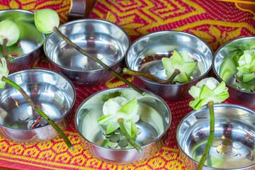 The white lotus flower that was prepared was placed on the tray to pay homage, worship the sacred