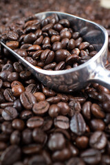 coffee beans on the wooden table