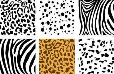 Set of animal skin textures. Dalmatian, leopard and zebra pattern print texture square. Pattern of dalmatian, zebra and leopard spots. Chaotic spots isolated on white.