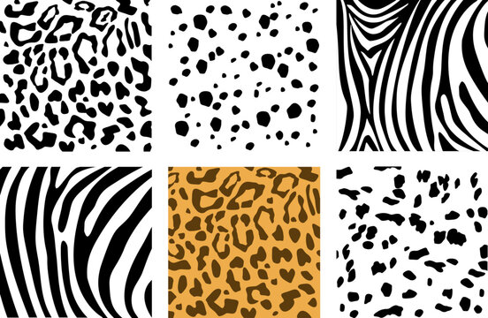 Set of animal skin textures. Dalmatian, leopard and zebra pattern print texture square. Pattern of dalmatian, zebra and leopard spots. Chaotic spots isolated on white.