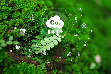 icon reduce CO2 emission concept on green leaves Sustainable development, Concept depicting the...