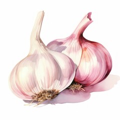 garlic watercolor