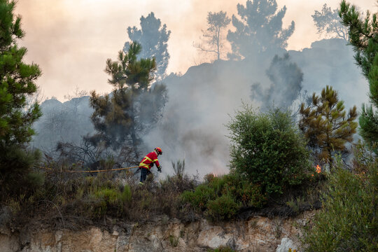 Her&oacute;i nas chamas: Bombeiro combate um inc&ecirc;ndio no cora&ccedil;&atilde;o do monte, enfrentando a fuma&ccedil;a e as chamas