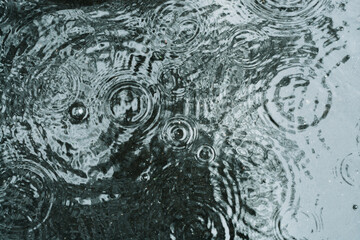Drops on wet asphalt road