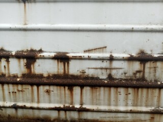 Rusty white metal door. rusty iron texture. Suitable for rusty background themes
