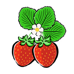 いちごと花と葉の組合せイラスト素材