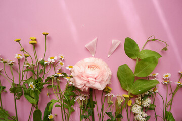 Spring Garden concept floral background. Spring flowers and green leaves on pink background. 