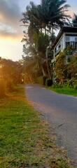 sunset on the tropic country side road
