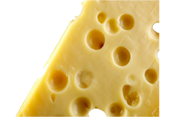 Cheese close-up