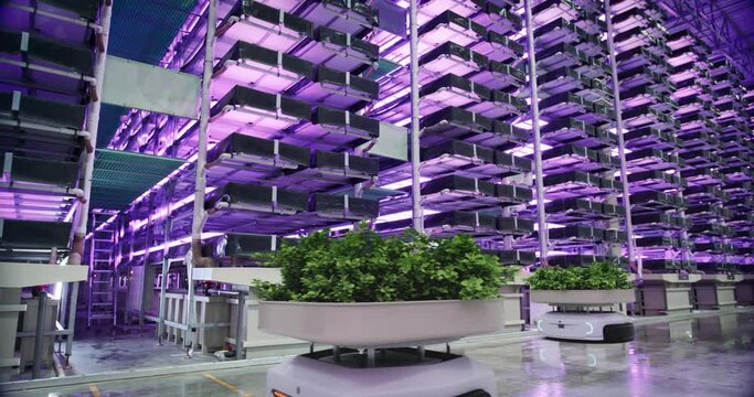 Autonomous Robots Vertical Farming Logistics Warehouse: Farm Robots Transporting Sustainably Grown Organic Vegetables. Agriculture in Automatic Retail Warehouse with AI Controlled Hydroponics System