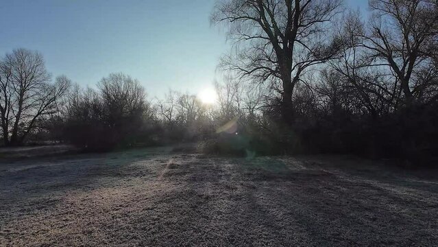 forest in frost. dawn through the trees. spring is coming. time lapse of snowy forest scenery. sunlight moving through woods. Rising sun breaks through the snow covered branches of the fir tree.