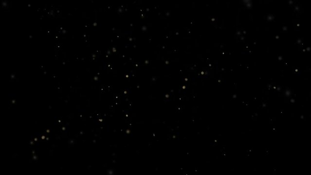 3d loop particles animation with bokeh on dark background. 3d dust particles