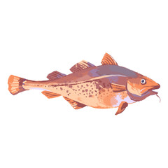 Watercolor acrylic gouache hand drawn cod fish. Seafood painted isolated vector illustration