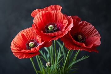 Red Poppies in Bloom: A Celebration of Spring's Vibrant Colors Generative AI