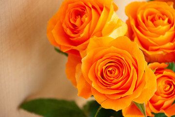 オレンジ色のバラ