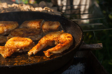 Pan frying or home cooking fish on the fire.