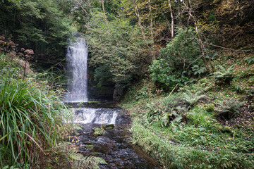 Wildbach mit Wasserfall