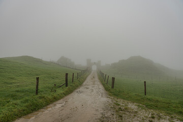 einsamer Feldweg im Nebel