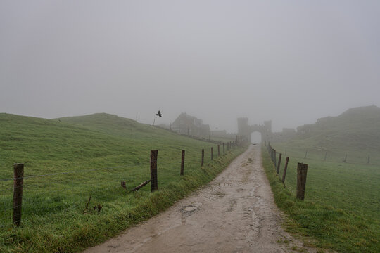 einsamer Feldweg im Nebel