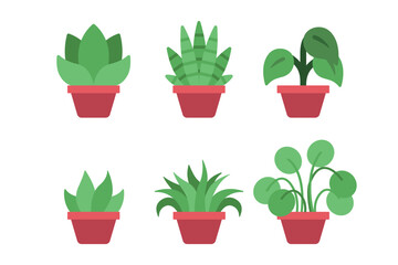 Potted plants 1