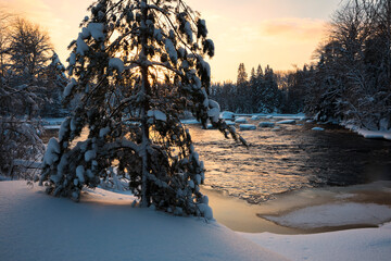 beautiful winter sunrise in Sweden - 723723359