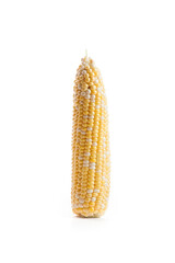 Sweet corn isolated on a white background..