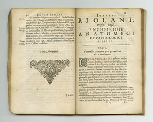 Old book, vintage and pages of latin literature, manuscript or ancient scripture or antique against...