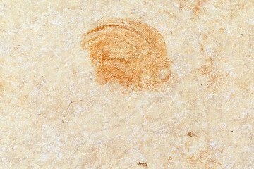 Dirty tile floor texture background. Stain on the floor. Rough and grunge surface.