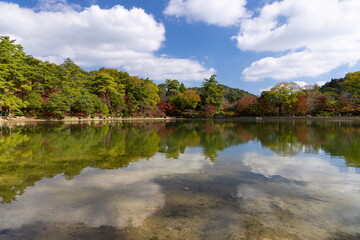 Obraz premium 秋の再度公園 神戸市中央区にて