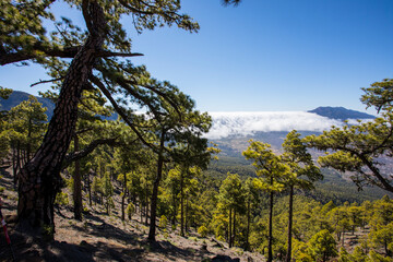 Landscape in Bejenado Peak in Caldera de Taburiente, La Palma, Spain