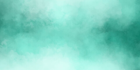 Fototapeta na wymiar Mint backdrop design realistic fog or mist design element,liquid smoke rising.reflection of neon realistic illustration transparent smoke cumulus clouds texture overlays smoky illustration,cloudscape 