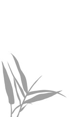 Grey Silhouette of Bamboo Leaves on Isolated Background. Black shadows illustration of bamboo leaf against, perfect for a peaceful and natural themed graphic element.