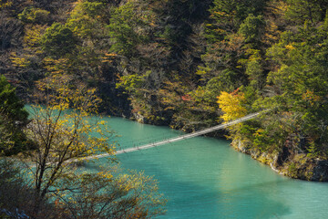 日本　静岡県川根本町、寸又峡の夢の吊り橋と仄かに紅葉した木々