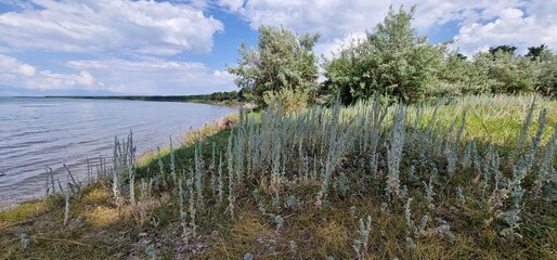 banks of lake sevan armenia