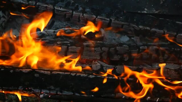 burning wood and paper. firewood is burning. tongues of flame. orange flame. bonfire. wood-fired cooking. firewood is burning for cooking barbecue
