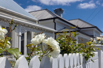 Victorian house with rose garden. Auckland New Zealand.