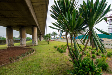 Landscaping a city and plants growing under the bridge in Lagos Marina, Nigeria.