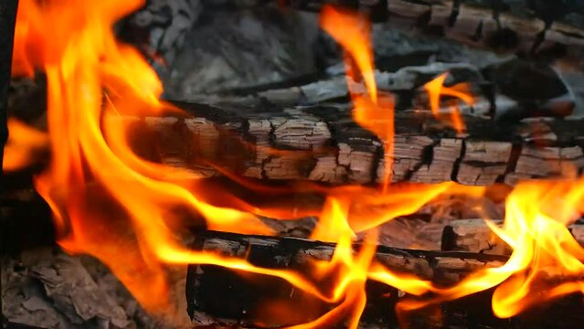burning wood and paper. firewood is burning. tongues of flame. orange flame. bonfire. wood-fired cooking. firewood is burning for cooking barbecue