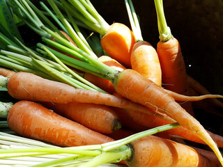Stack of carrots on a market stall