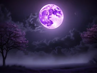 Photo sur Plexiglas Pleine Lune arbre Purple moon real picture to my blog