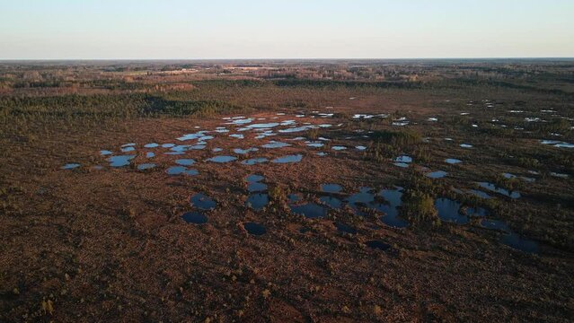 Estonian bog and swamp landscape with many lakes