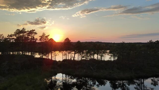 Beatiful bog/swamp sunset in Estonia in the summer