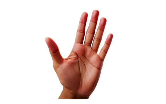 sign of stopping at road on white or PNG transparent background.